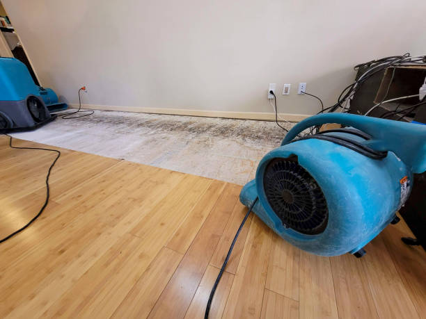 Professional Water Damage Repair technician working in Harrisville, UT